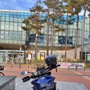 KM소프트 | 가성비 오토바이 야마하 MT09 트레이서 5년 주행 후기