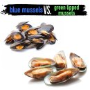 머슬레시피 | [스몰배치]블루 머슬 푸른 홍합 트릿 | 홍합 간식, 초록입 홍합, 강아지 오메가3, 동결건조 간식 추천