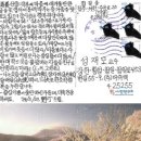 머쉬텍플러스