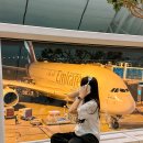 인천공항 마티나 라운지 이용권 위치 PP카드 사용가능 할인권 정보
