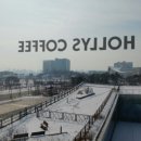 Holly Shop 이미지