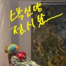 상주문화회관 | 못 일어났습니다”…박신양이 갑자기 사라졌던 진짜 이유 + 세종문화회관 ‘제4의 벽’ 전시 충격 후기