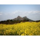 샤인산업개발