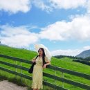 들판의추억목장 이미지