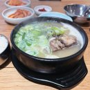 더진한한우진국 | [선정릉역 맛집] 한우 사골로 우려낸 역대급 보양식...진주집' 꼬리토막 진국물 솔직 후기! (feat...