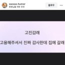 안경쟁이 이미지