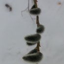 가평가평1087 이미지