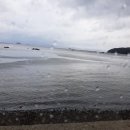 덕이네민박 이미지