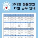 고덕 고래힐동물병원 이미지