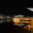 첨성대하우스 이미지