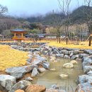 고산정원 이미지