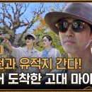 고대차박사