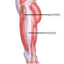 탑라인필라테스