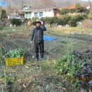 일순농장 이미지