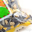 다람쥐몰 이미지