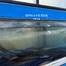 진장어 | 진주맛집 추천! 숨겨진 장어명가 ‘정촌숯불장어’ 솔직 후기