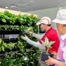 수직의 정원 이미지