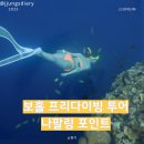 원프리다이빙 | 보홀 프리다이빙 투어 준비물과 나팔링 포인트