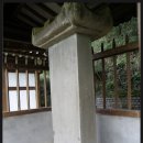 충신의사단비 이미지