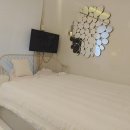 하얀허브 이미지