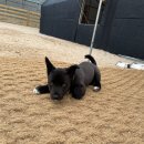 금촌유치원 이미지