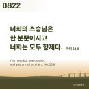⛪️ 복되신 동정 마리아 모후 기념일 이미지