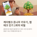 돈나무 | 케이뱅크 돈나무 실제 후기, 이래서 다들 신청하는군요