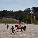 더마파크 이미지