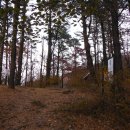 장원초등학교 이미지