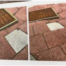 맥행정사 이미지