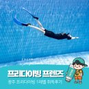 바다사랑(광주점) | 전라도 광주 프리다이빙 프렌즈에서 자격증 취득 :: 2시간 교육 체험 물공포증 극복 후기