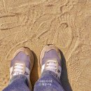 삼학도 요트마리나 인근 이미지