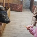 아띠목장 이미지