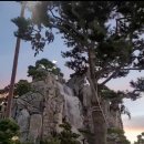 QED 골프연습장 안중청북점 | 솔라고cc 후기