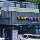 안젤라한솔영어