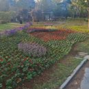 호수공원,중앙공원 이미지