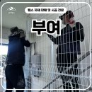 H2400 | 부여휀스 펜스 - 외부인 출입 막고 싶다면? 부여휀스 시공 현장 보고 결정하세요!