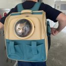 로아동물병원 이미지