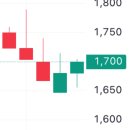 대일바이오사이언스 이미지