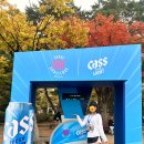 CHALLENGE | 마라톤 서울 10k 챌린지 10K CHALLENGE SEOUL 완주 후기 01:01:59