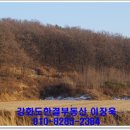 교동면-5 이미지