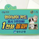 멍이와 냥이 이미지