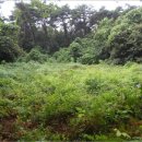 갈산면 노상마을회관 이미지