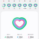 코스모화장품도청점 | 여행 7박8일, 3일차] 도쿄 3일차 일정 - 조죠지, 도쿄 도청 전망대, 신주쿠 교엔, 기치조지, 도쿄역...