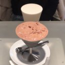 친환경세상