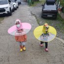 (주)라온네스트 | [유명산라온캠핑장] 핫한 유명산 라온 캠핑장에서 인생 첫 캠핑하고 와떠욤 ♪