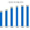 베이비타운 중앙일보