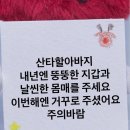 술몽 | 24년 12월 근황 ❺