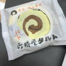 재키애견 이미지