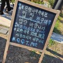 남평초등학교 | 나주 가볼만한 곳 남평 은행나무수목원 GGT POT 카페 늦가을 단풍구경